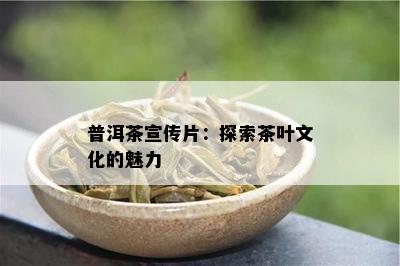 普洱茶宣传片：探索茶叶文化的魅力