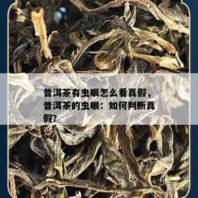 普洱茶有虫眼怎么看真假，普洱茶的虫眼：怎样判断真假？