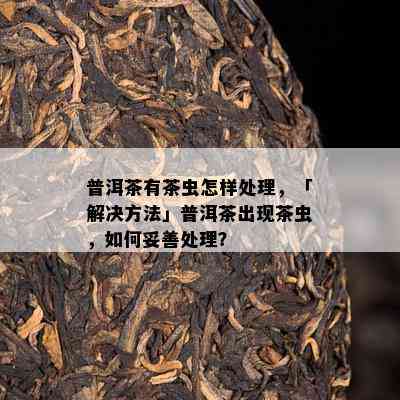 普洱茶有茶虫怎样解决，「解决方法」普洱茶出现茶虫，怎样妥善解决？