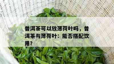 普洱茶可以放薄荷叶吗，普洱茶与薄荷叶：能否搭配饮用？