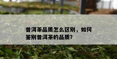 普洱茶品质怎么区别，怎样鉴别普洱茶的品质？