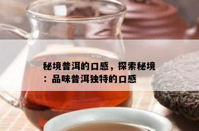 秘境普洱的口感，探索秘境：品味普洱独特的口感