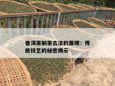 普洱茶制茶古法的原理：传统技艺的秘密揭示