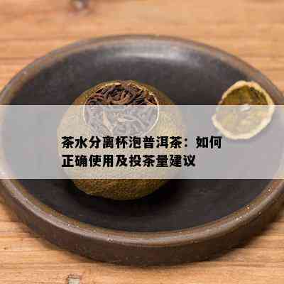 茶水分离杯泡普洱茶：怎样正确采用及投茶量建议