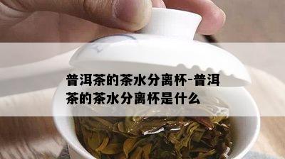 普洱茶的茶水分离杯-普洱茶的茶水分离杯是什么