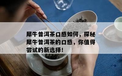 犀牛普洱茶口感如何，探秘犀牛普洱茶的口感，你值得尝试的新选择！