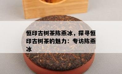 恒印古树茶陈燕冰，探寻恒印古树茶的魅力：专访陈燕冰