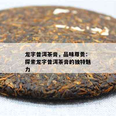 龙字普洱茶膏，品味尊贵：探索龙字普洱茶膏的独特魅力