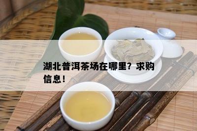 湖北普洱茶场在哪里？求购信息！