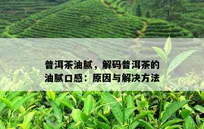 普洱茶油腻，解码普洱茶的油腻口感：原因与解决方法