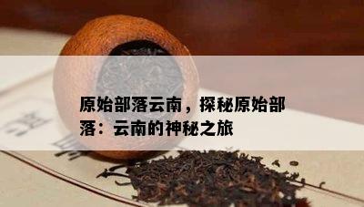 原始部落云南，探秘原始部落：云南的神秘之旅