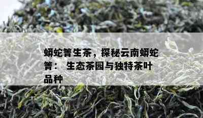 蟒蛇箐生茶，探秘云南蟒蛇箐： 生态茶园与特别茶叶品种