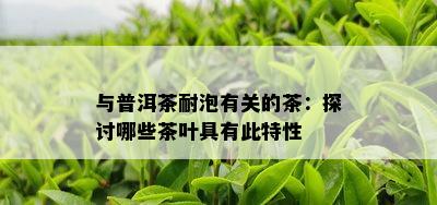 与普洱茶耐泡有关的茶：探讨哪些茶叶具有此特性