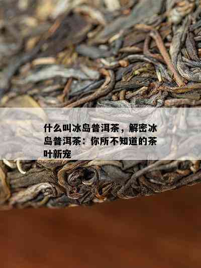 什么叫冰岛普洱茶，解密冰岛普洱茶：你所不知道的茶叶新宠