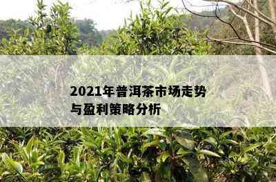 2021年普洱茶市场走势与盈利策略分析