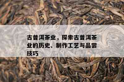 古普洱茶业，探索古普洱茶业的历史、制作工艺与品尝技巧