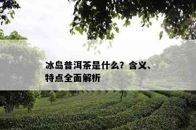 冰岛普洱茶是什么？含义、特点全面解析