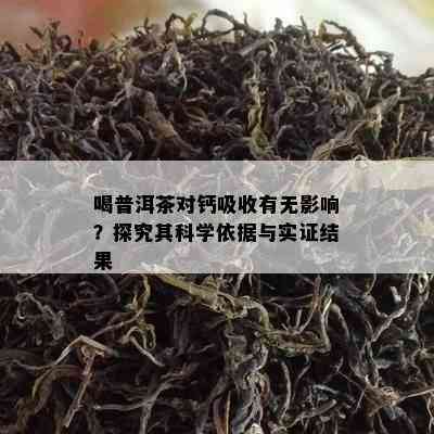 喝普洱茶对钙吸收有无作用？探究其科学依据与实证结果