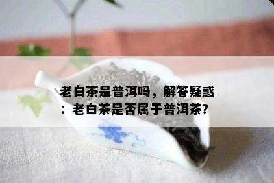 老白茶是普洱吗，解答疑惑：老白茶是不是属于普洱茶？