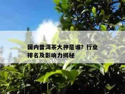 国内普洱茶大神是谁？行业排名及作用力揭秘