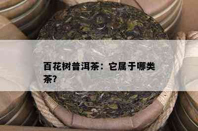 百花树普洱茶：它属于哪类茶？