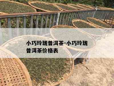 小巧玲珑普洱茶-小巧玲珑普洱茶价格表