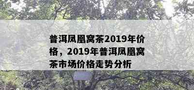 普洱凤凰窝茶2019年价格，2019年普洱凤凰窝茶市场价格走势分析