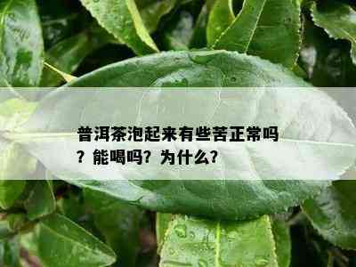 普洱茶泡起来有些苦正常吗？能喝吗？为什么？