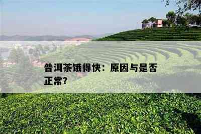 普洱茶饿得快：起因与是不是正常？