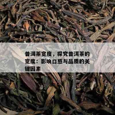 普洱茶宽度，探究普洱茶的宽度：影响口感与品质的关键因素