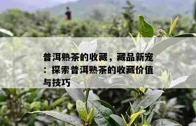 普洱熟茶的收藏，藏品新宠：探索普洱熟茶的收藏价值与技巧