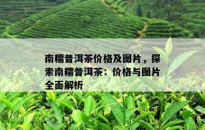 南糯普洱茶价格及图片，探索南糯普洱茶：价格与图片全面解析