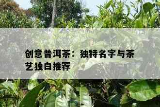 创意普洱茶：特别名字与茶艺独白推荐