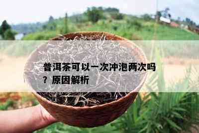 普洱茶可以一次冲泡两次吗？起因解析