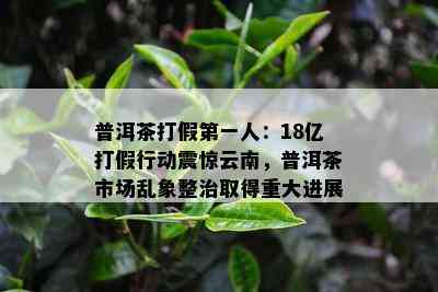 普洱茶打假之一人：18亿打假行动震惊云南，普洱茶市场乱象整治取得重大进展