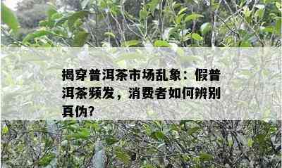 揭穿普洱茶市场乱象：假普洱茶频发，消费者怎样辨别真伪？