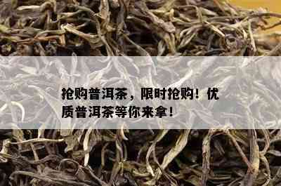 抢购普洱茶，限时抢购！优质普洱茶等你来拿！