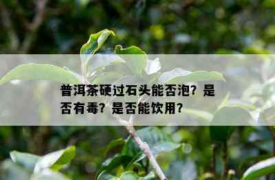 普洱茶硬过石头能否泡？是否有？是否能饮用？