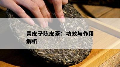 青皮子陈皮茶：功效与作用解析