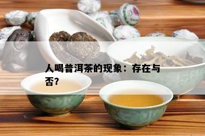 人喝普洱茶的现象：存在与否？