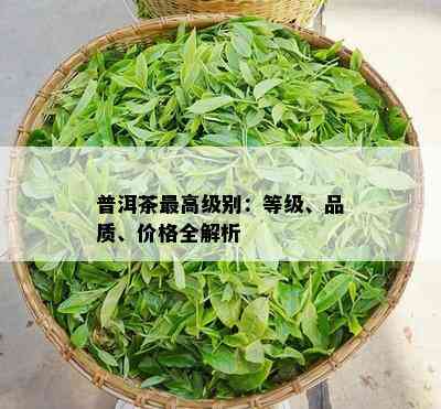 普洱茶更高级别：等级、品质、价格全解析