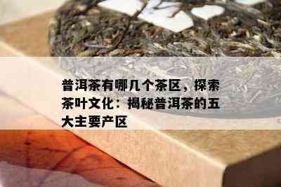 普洱茶有哪几个茶区，探索茶叶文化：揭秘普洱茶的五大主要产区