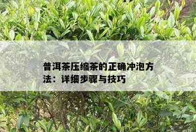 普洱茶压缩茶的正确冲泡方法：详细步骤与技巧