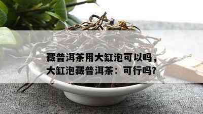 藏普洱茶用大缸泡可以吗，大缸泡藏普洱茶：可行吗？