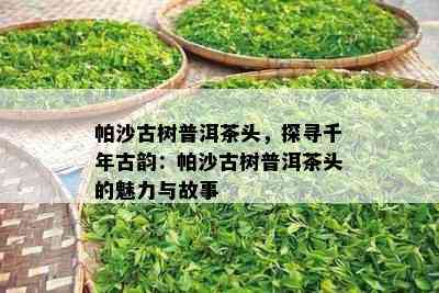 帕沙古树普洱茶头，探寻千年古韵：帕沙古树普洱茶头的魅力与故事