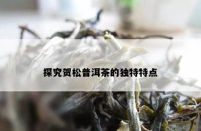 探究贺松普洱茶的特别特点