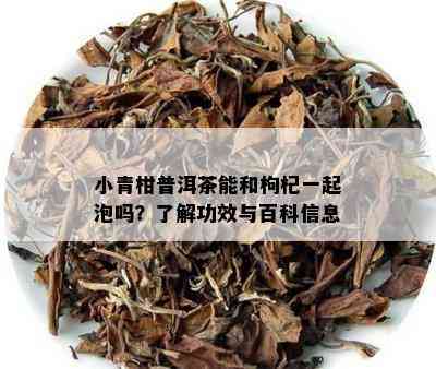 小青柑普洱茶能和枸杞一起泡吗？了解功效与百科信息