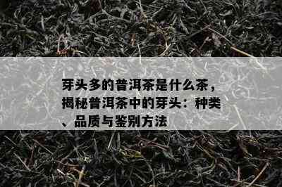 芽头多的普洱茶是什么茶，揭秘普洱茶中的芽头：种类、品质与鉴别方法