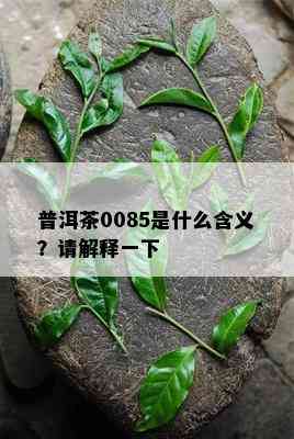 普洱茶0085是什么含义？请解释一下