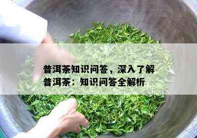 普洱茶知识问答，深入熟悉普洱茶：知识问答全解析